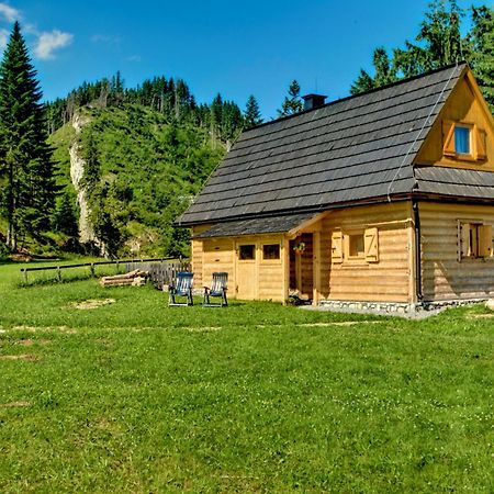 Jedroskowe Chatki Witów Exterior foto