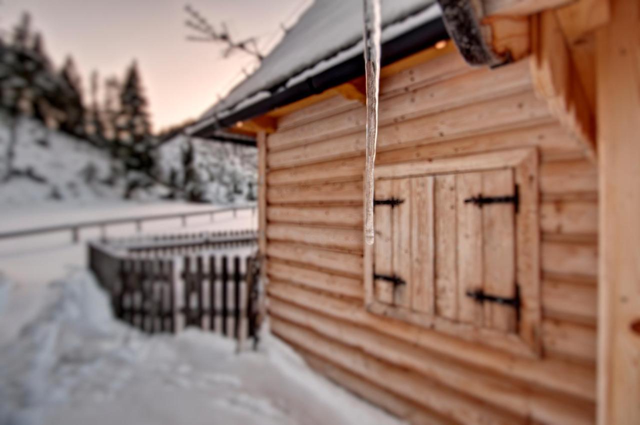 Jedroskowe Chatki Witów Exterior foto