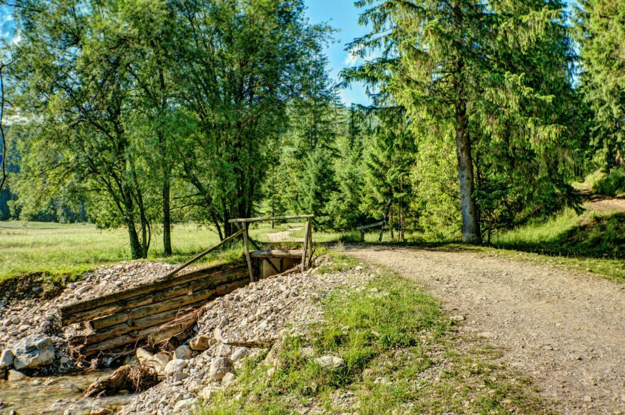 Jedroskowe Chatki Witów Exterior foto